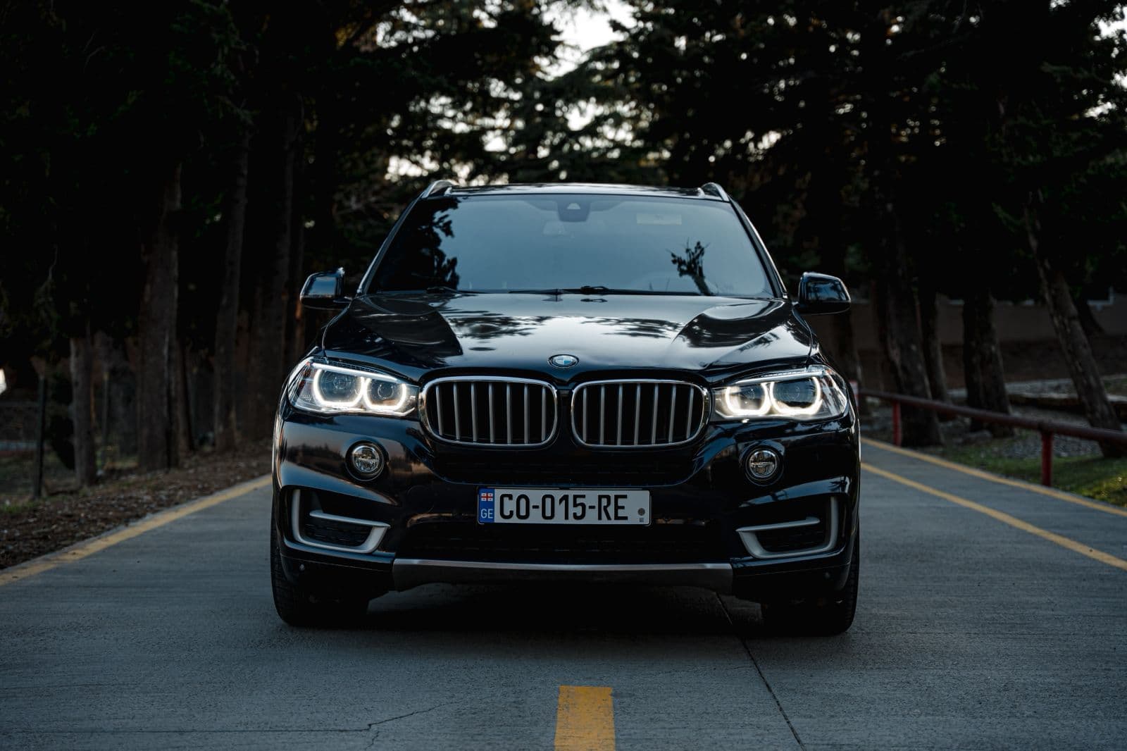 Bmw x5 xdrive 2017  view 10