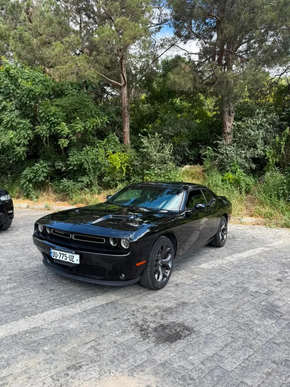 Dodge Challenger 3.6SXT photo 2