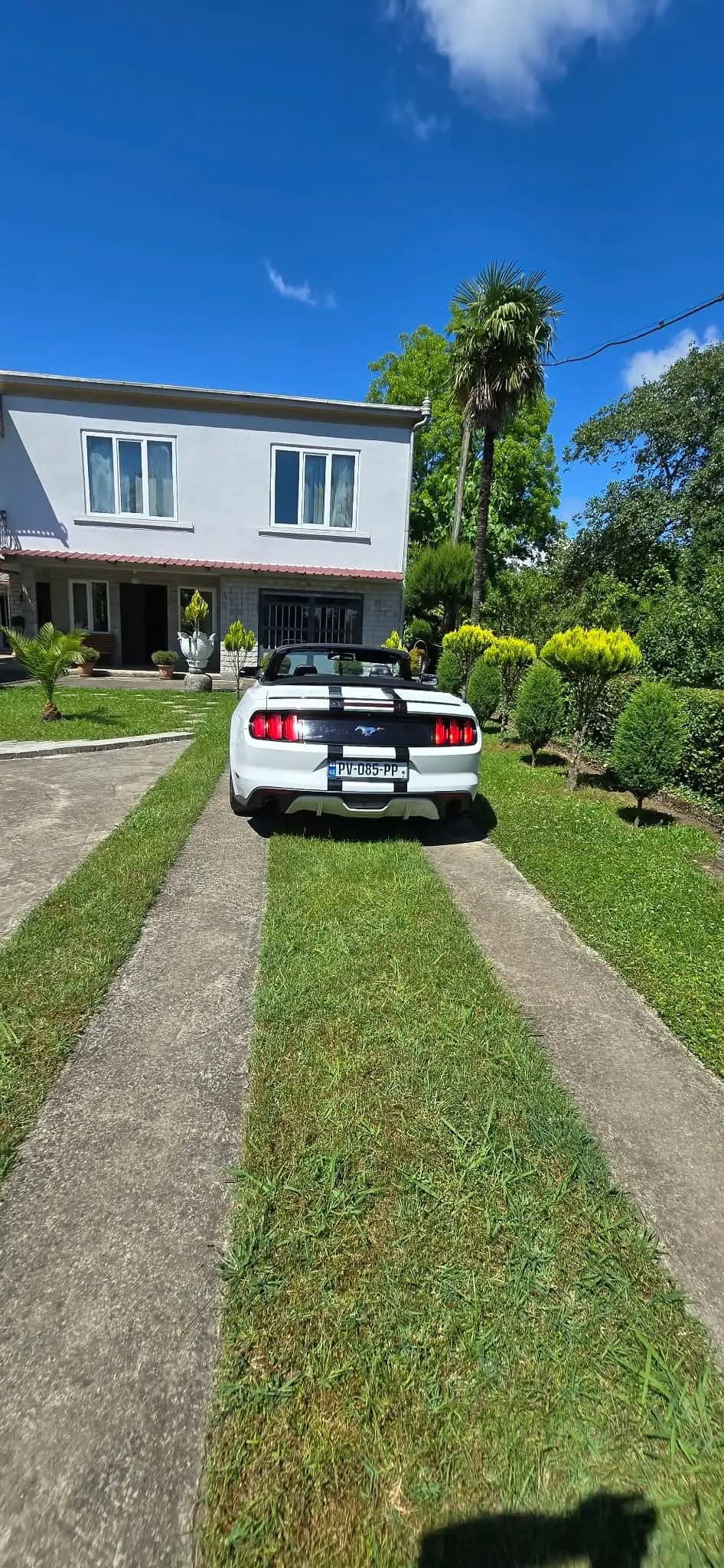 Ford mustang photo 3