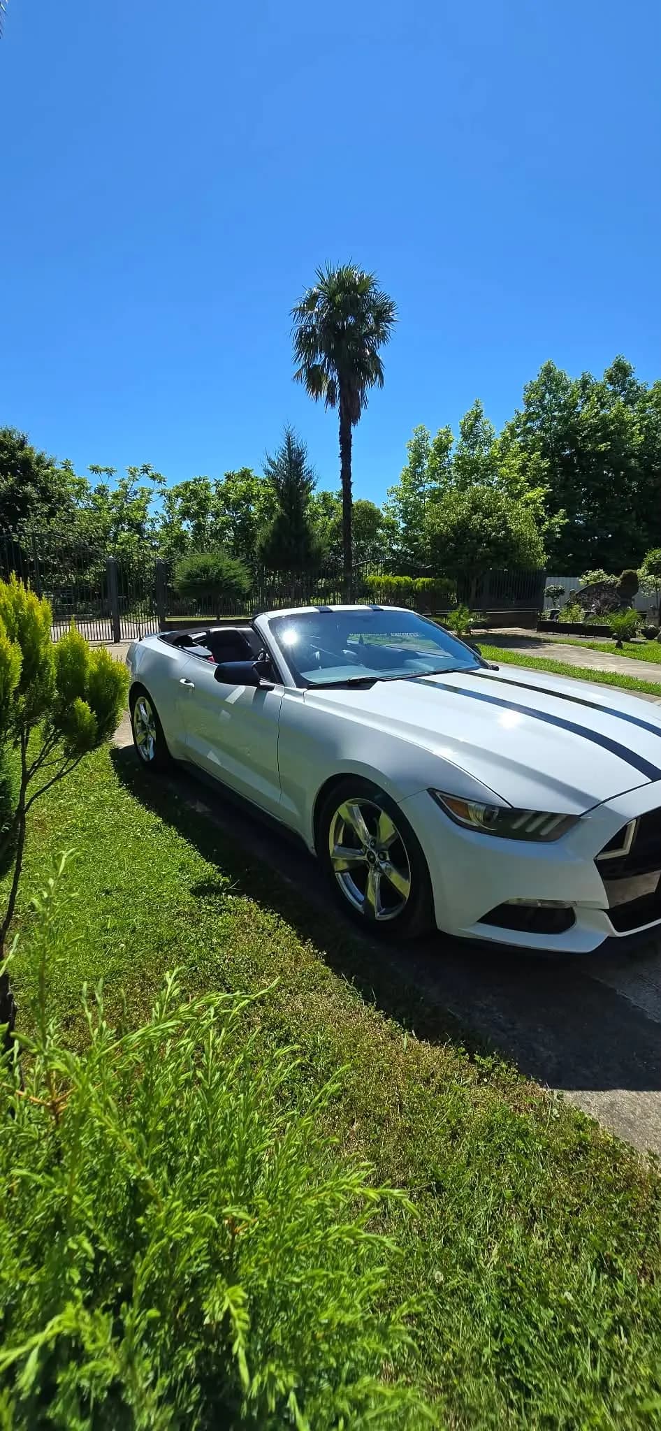 Ford mustang photo 2