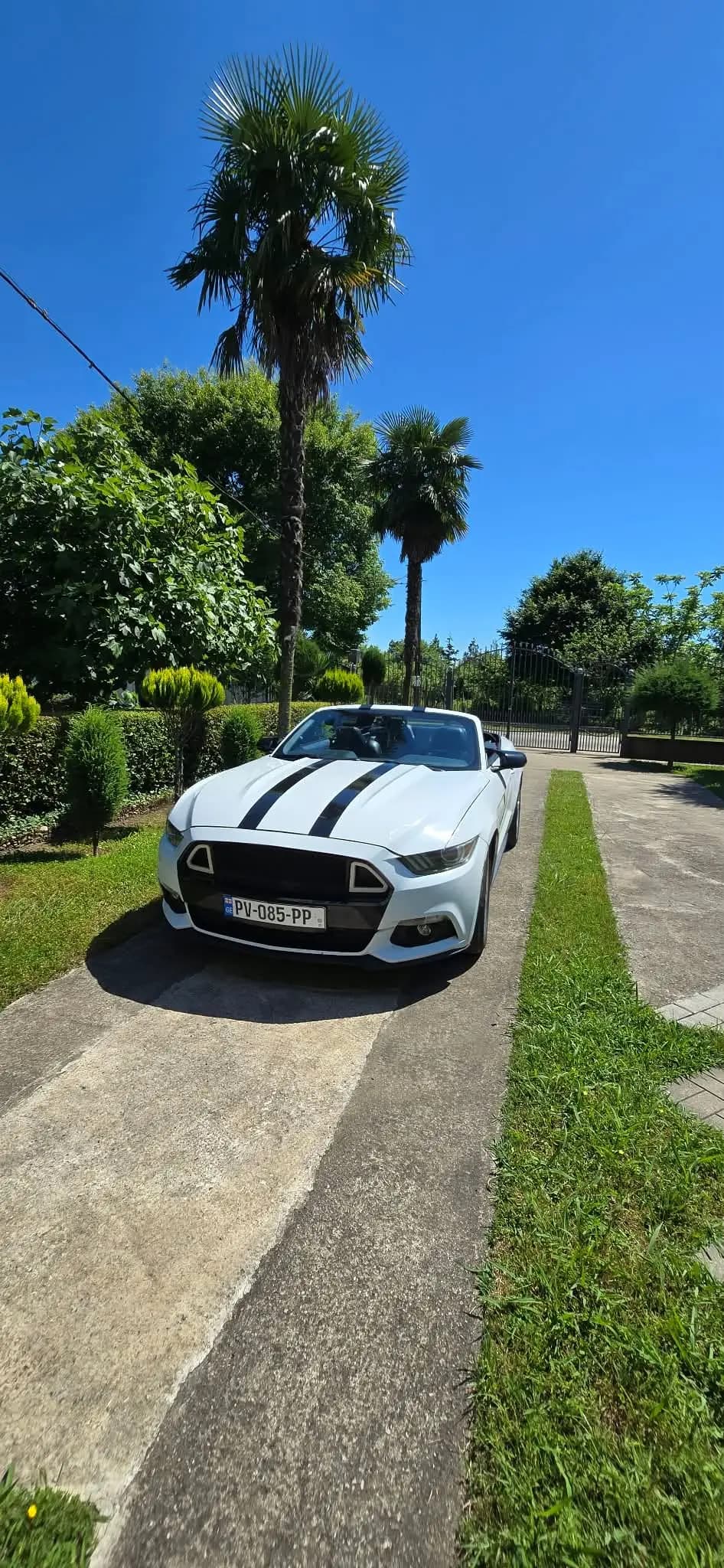 Rent Ford Mustang in Batumi