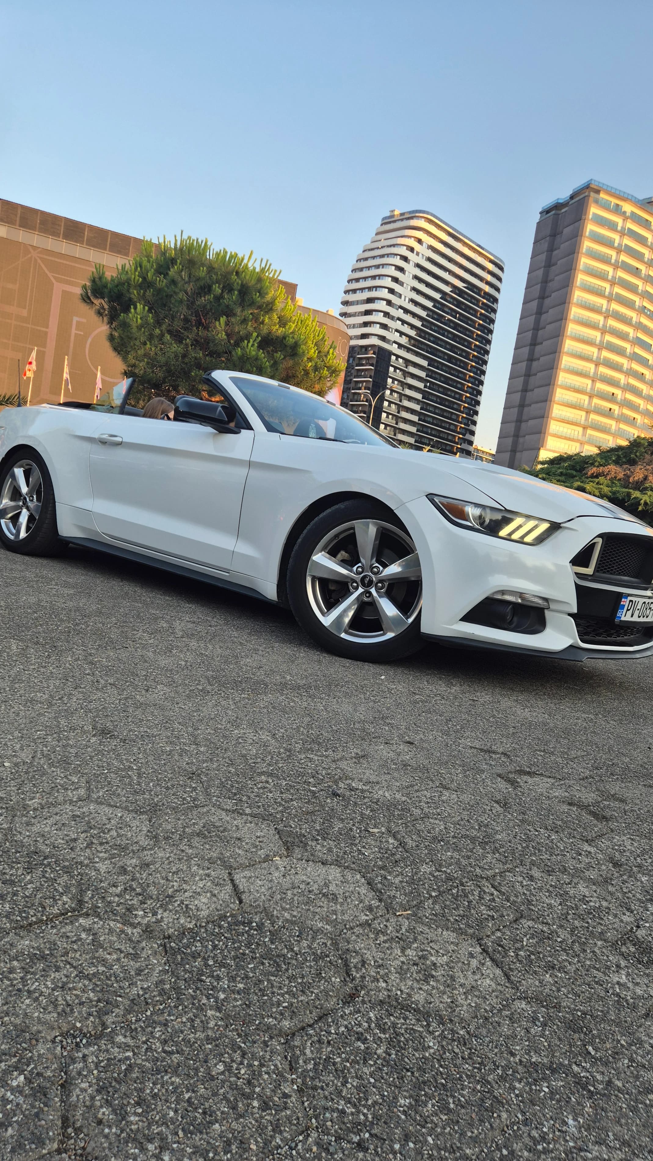 Ford mustang photo 3