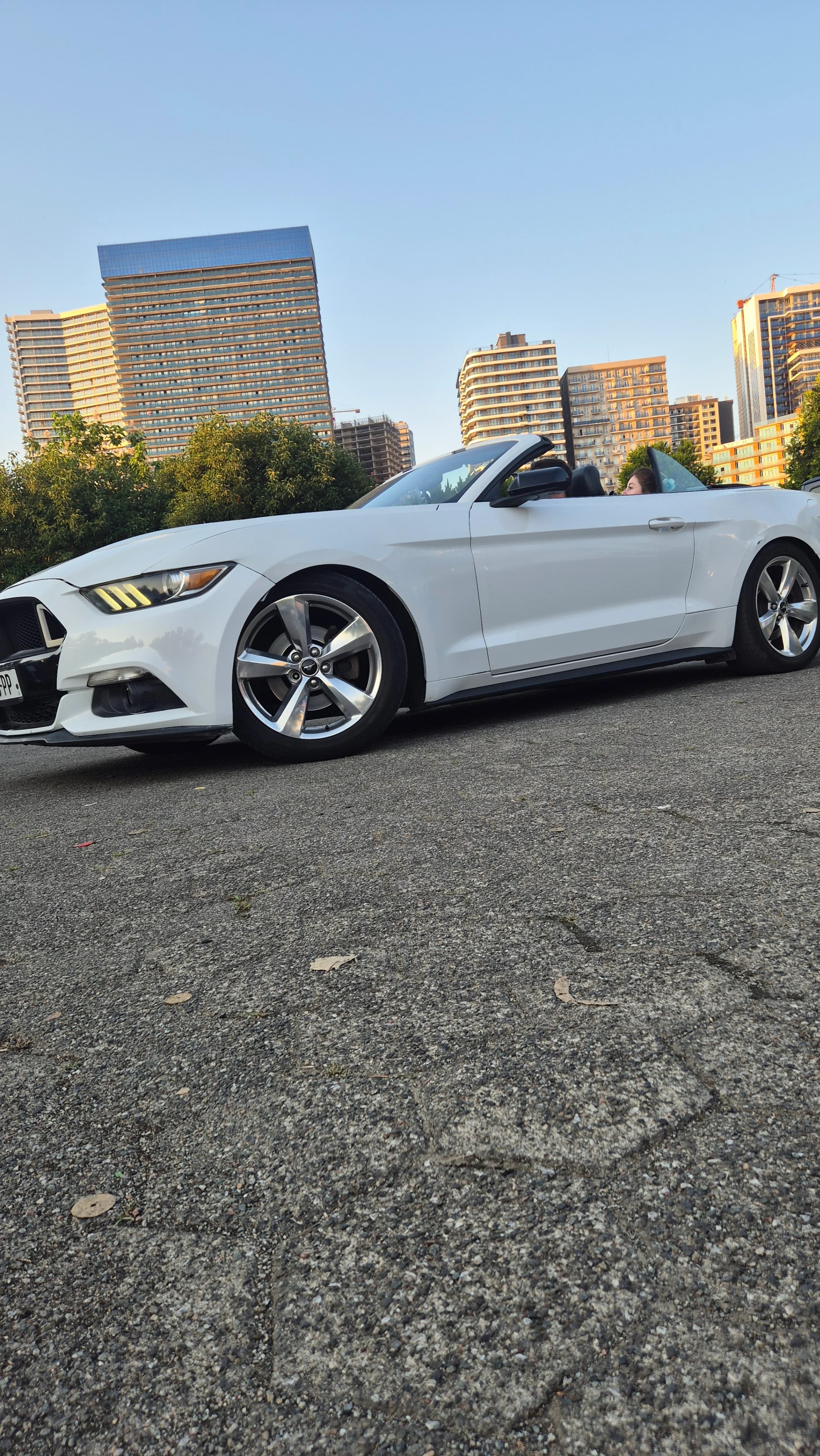 Thumbnail 8