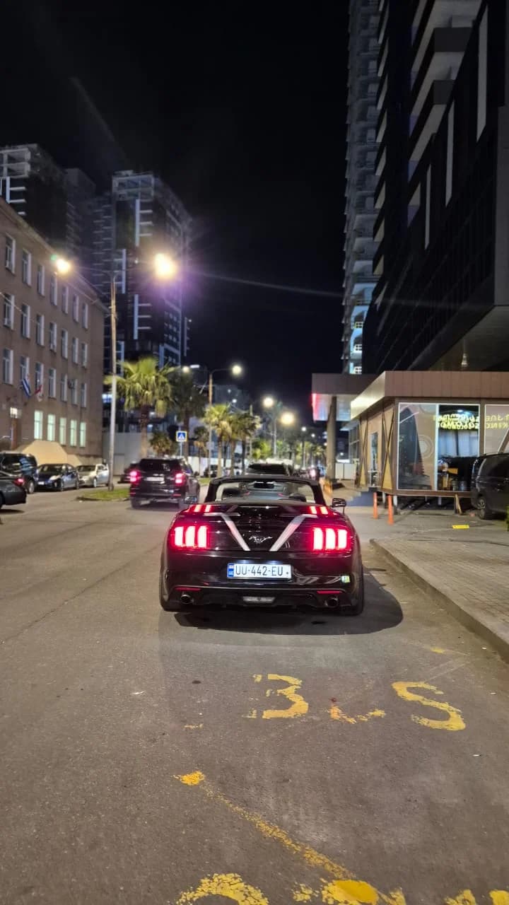 Mustangis kabrioleti  photo 3