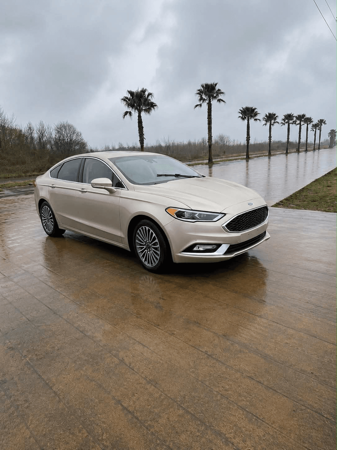 2016 Ford Fusion Energi (Plug-in Hybrid)