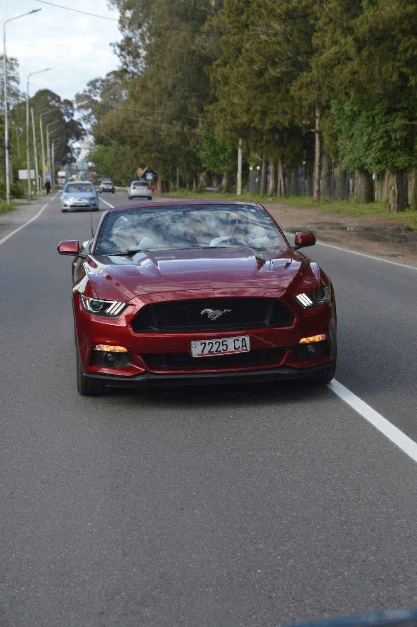 Rent Ford mustang in Batumi