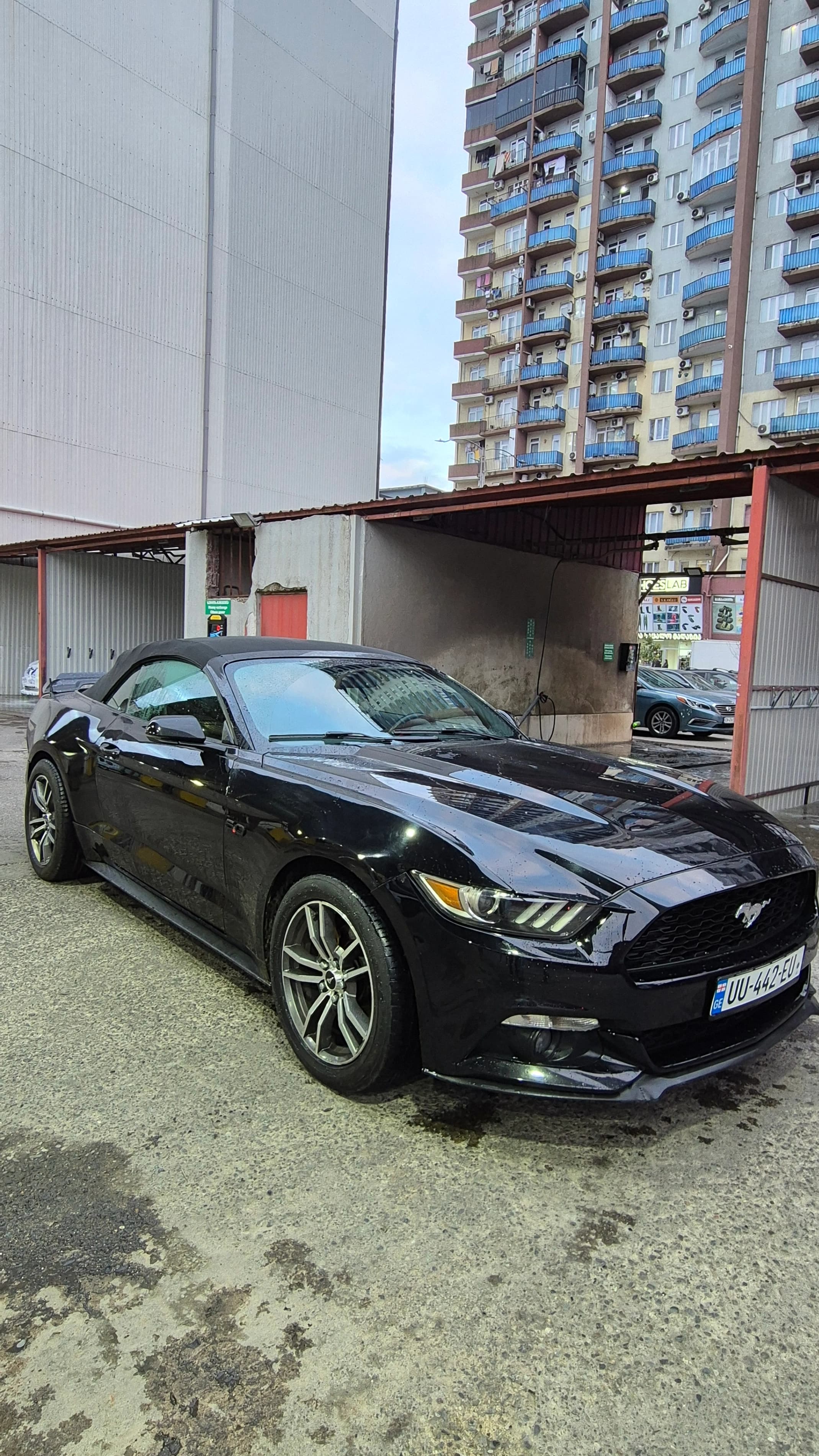 Mustangis kabrioleti